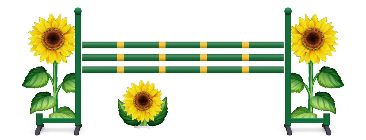 Sunflower Jump