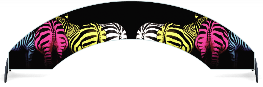 Fillers > Arch Filler > Colourful Zebras