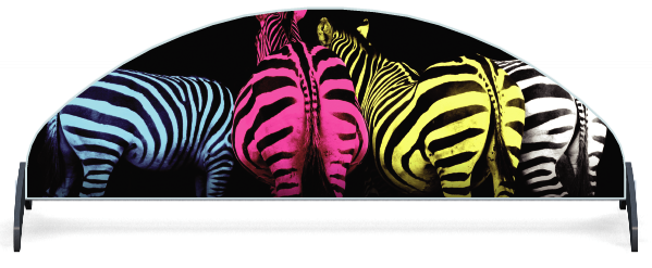 Fillers > Half Moon Filler > Colourful Zebras