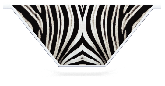 Fillers > V Filler > Zebra Skin