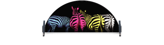 Fillers > Half Round Filler > Colourful Zebras