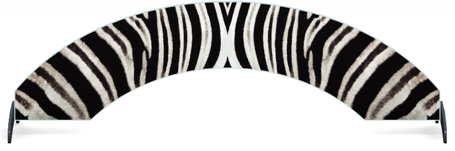 Fillers > Arch Filler > Zebra Skin