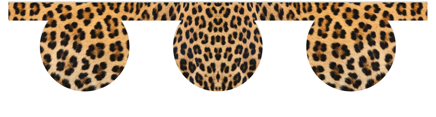 Fillers > O Filler > Leopard Skin