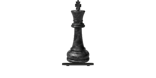 New Products > Individual Chess Fillers > King
