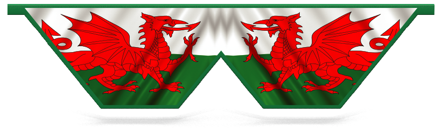 Fillers > Double V Filler > Welsh Flag