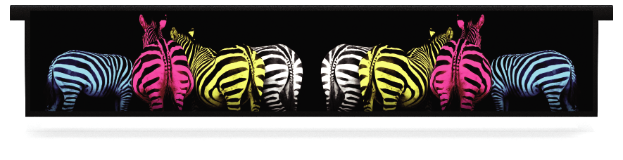 Fillers > Hanging Solid Filler > Colourful Zebras