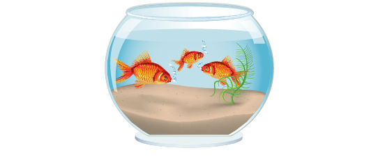 Fillers > Fish Bowl Filler > Goldfish